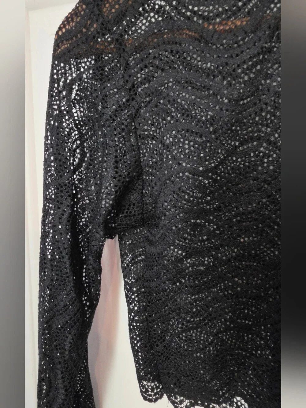 ZARA Black Lace Semi-Sheer Cropped Top